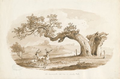 Chartley Hall - Parque de Thomas Peploe Wood