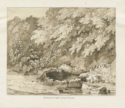 Codsall Wood - Brimstone Well de Thomas Peploe Wood