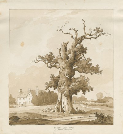 Eccleshall - Baden Old Hall de Thomas Peploe Wood