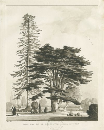 Rectoría de Haughton de Thomas Peploe Wood
