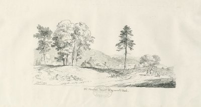 Parque de Haywood - Antigua Casa Solariega: dibujo a pluma y tinta de Thomas Peploe Wood