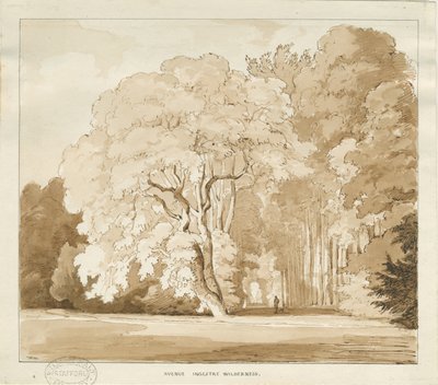 Ingestre - un estudio de árboles de Thomas Peploe Wood
