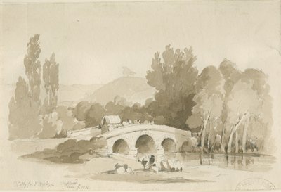 Stafford - Puente Hollyford, Milford: dibujo en sepia de Thomas Peploe Wood