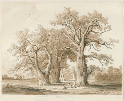 Teddesley Hall - Robles de Thomas Peploe Wood