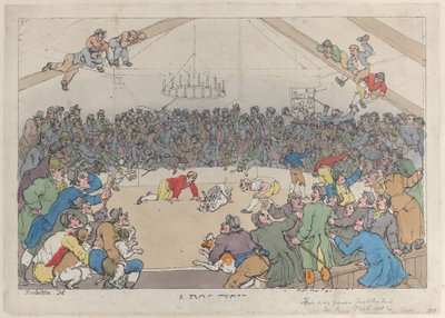 Una pelea de perros, 1 de mayo de 1811 de Thomas Rowlandson