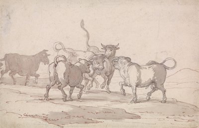 Un grupo de cinco toros a punto de pelear de Thomas Rowlandson
