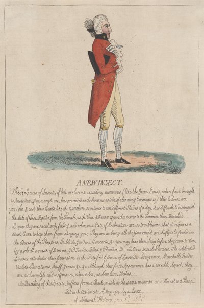 Un nuevo insecto de Thomas Rowlandson