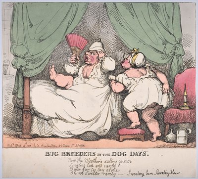 Criadores de insectos en los días de perros de Thomas Rowlandson