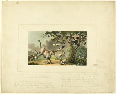 Doctor Syntax perseguido por un toro, de El tour del Doctor Syntax de Thomas Rowlandson