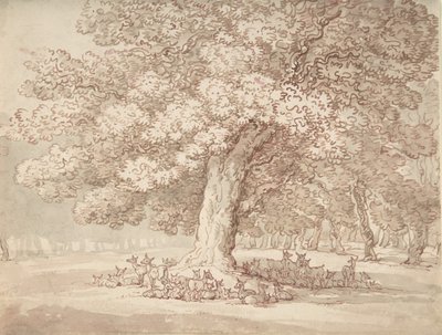 Manada de ciervos bajo un roble, 1775-1827 de Thomas Rowlandson