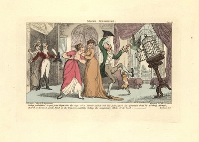 Hombre siendo atacado por un loro y un gato en una sala de estar de Thomas Rowlandson