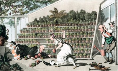 Desgracia en el Salón de los Tulipanes de Thomas Rowlandson