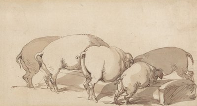 Cerdos en un comedero de Thomas Rowlandson
