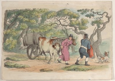Placa 40, de Mundo en Miniatura, 1816 de Thomas Rowlandson