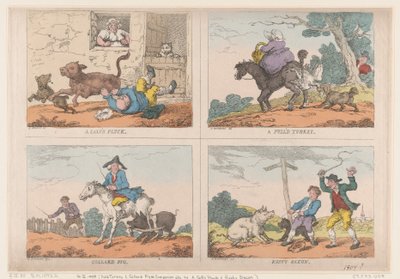 Pavo desplumado, cerdo colado, vísceras de ternera y tocino oxidado, 1807 de Thomas Rowlandson