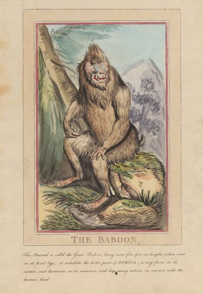 Conjunto de ocho láminas con portada. «Animales extranjeros y autóctonos». 2. El león de Thomas Rowlandson