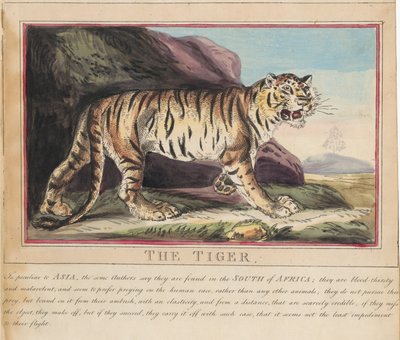 Conjunto de ocho láminas con portada. «Animales extranjeros y autóctonos». 5. El lobo de Thomas Rowlandson