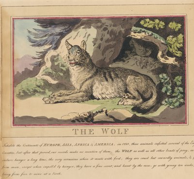 Conjunto de ocho láminas con portada. «Animales extranjeros y autóctonos». 5. El lobo de Thomas Rowlandson