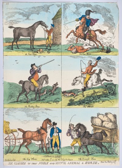 Seis Clases del Noble y Útil Animal un Caballo de Thomas Rowlandson
