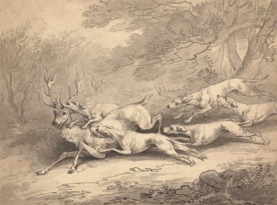 Un ciervo abatido por una jauría de perros de Thomas Rowlandson