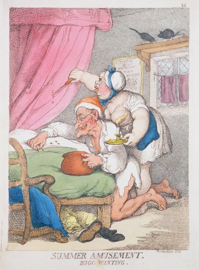 Diversión de Verano. Caza de Insectos de Thomas Rowlandson