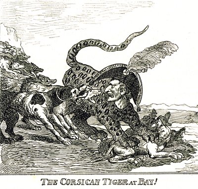 El Tigre Corso Desollado (Napoleón Bonaparte), caricatura 1808 de Thomas Rowlandson