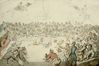 El Westminster Pitt, 1798 de Thomas Rowlandson