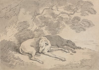 Dos galgos tumbados bajo un árbol de Thomas Rowlandson