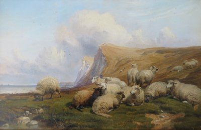 Shakespeare Cliff, Kent: Ovejas en pastos costeros de Thomas Sidney Cooper