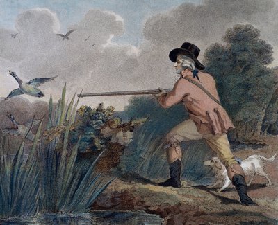 Caza de patos de Thomas Simpson