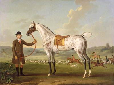 Escipión, el cazador moteado del Coronel Roche, c.1750 de Thomas Spencer
