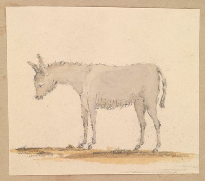 Estudio de un asno, c.1820 (pluma y tinta, aguada, acuarela) de Thomas Streatfeild