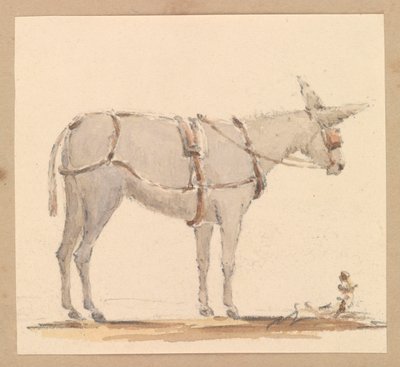 Estudio de un asno con brida y arnés, c.1820 (lápiz con aguada marrón y gris sobre papel) de Thomas Streatfeild
