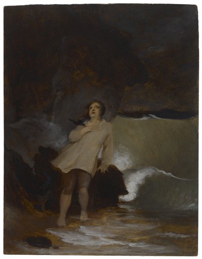 El naufragio de Robinson Crusoe de Thomas Sully