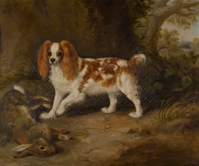 Un perro de aguas con una liebre muerta, c.1822-74 (óleo sobre lienzo) de Thomas W. Bretland