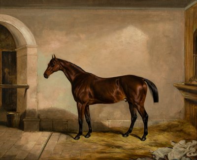 Teddy the Tiler: A Horse, c.1842 (óleo sobre lienzo) de Thomas W. Bretland