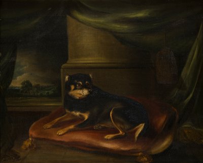 Un Terrier favorito sobre un cojín rojo, c.1794-1843 (óleo sobre lienzo) de Thomas Weaver