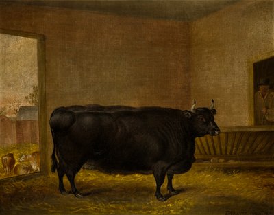 A Prize Bull: A Fat Kerry Cow, c.1819 (óleo sobre lienzo) de Thomas Weaver