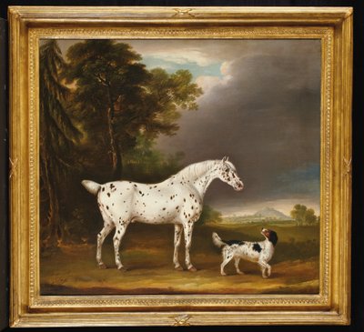 Caballo Appaloosa y spaniel, 1807 de Thomas Weaver