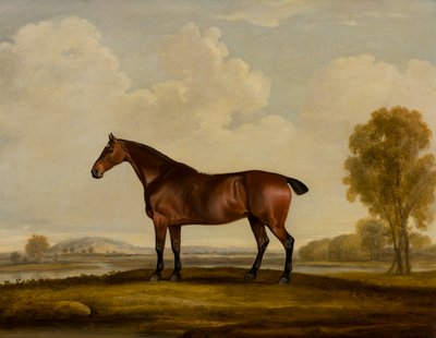 Georgiana: un caballo, c.1819 (óleo sobre lienzo) de Thomas Weaver