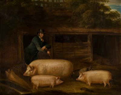 Harry Green, Pigman, con sus cerdos en un corral, c.1794-1843 (óleo sobre lienzo) de Thomas Weaver