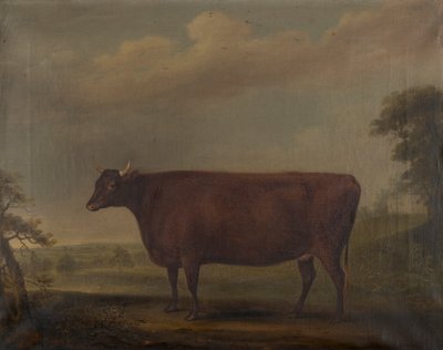 Red Devon Heifers en paisaje, c.1812 (óleo sobre lienzo) de Thomas Weaver