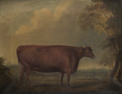 Red Devon Heifers en paisaje, c.1812 (óleo sobre lienzo) de Thomas Weaver