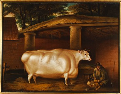 La novilla blanca que viajó, con un hombre cortando nabos en un patio de establo, 1811 de Thomas Weaver