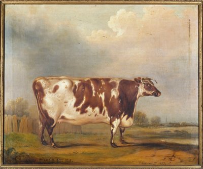 Wildair, una novilla de ocho años en un paisaje fluvial, 1827 de Thomas Weaver