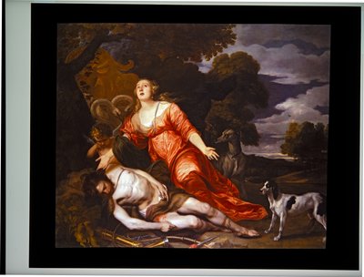 La muerte de Adonis de Thomas Willeboirts Bosschaert