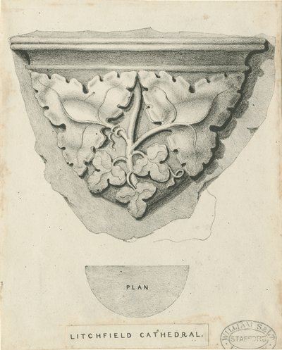 Interior de la Catedral de Lichfield - Follaje tallado de Thomas Witlam Atkinson