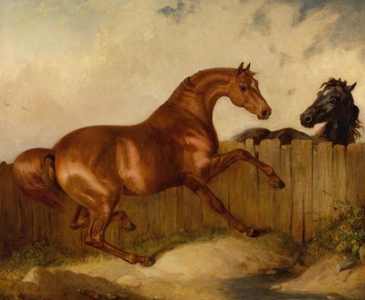 Semental y yegua de Thomas Woodward