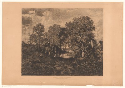 Vista del bosque de Fontainebleau con una figura cerca de un estanque
Une Mare - Forêt de Fontainebleau (título en el objeto). de Théophile Chauvel