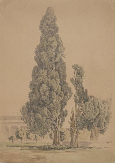 Cipreses de Thorald Brendstrup